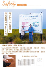 將圖片載入圖庫檢視器 香印提子南非國寶綠茶/博士茶, 30個入 (Tealife - 日本製健康茶)